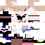 Texture for serval