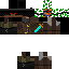Texture for gladiator lesa