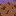 Texture for mycelium_side