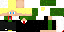 Texture for R_holter
