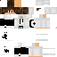 Texture for steve