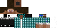Texture for cool steve