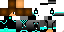 Texture for STEVE