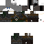 Texture for lucasgapm