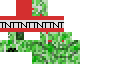 Texture for creeper TNT1