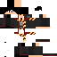 Texture for Flash Boy Live