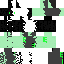Texture for Hacker Erro/E