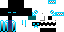 Texture for Ender