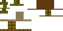 Texture for tortoise