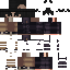 Texture for Asuka