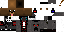 Texture for zerox12 2