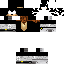 Texture for Dark Robin