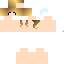 Texture for CHECKPOINT