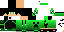 Texture for minhaskins