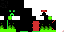 Texture for ninja