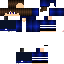 Texture for Maxii