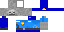 Texture for police Officer