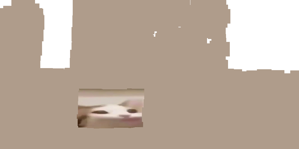 Texture for Meme Cat