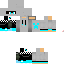 Texture for CaDeX