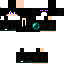 Texture for END SDS