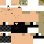 Texture for Max