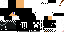 Texture for Sig