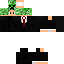 Texture for ternim