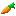 Texture for Zanahoria