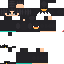 Texture for surmavari duck2