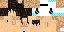 Texture for MINECRAFT