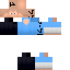 Texture for MİCHAEL SCOFİELD