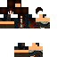 Texture for Comsic WolfMC