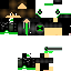 Texture for tauan10