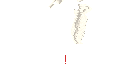 Texture for Wings