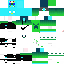 Texture for Angry Birds Herobrine Bros