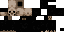 Texture for c1
