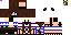 Texture for cat ninja