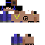 Texture for pavel