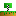 Texture for birch translated 100 times