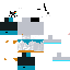 Texture for DUSTTRUST