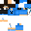 Texture for nicolas craft