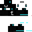 Texture for L1010