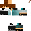 Texture for sikn2