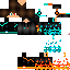 Texture for steve