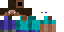 Texture for 3-D STEVE!