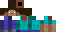 Texture for STEVE