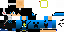 Texture for Dman220