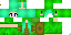 Texture for Turtle Gurl