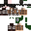 Texture for sasageyo