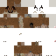 Texture for floppa